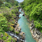 雨上がりのせいか川の水は濁り気味だったけど、新緑も爽やかで十分にきれいでした。