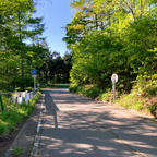 頂上から群馬県側の道