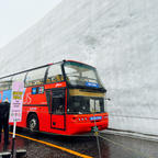 〰️Toyama🇯🇵〰️
#アルペンルート#雪の大谷