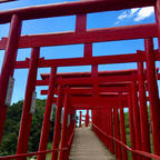 山口県
長門市
元乃隅神社
こちらは、有名な絶景スポットですが、たどり着くまでには道幅が狭い所もあり、大型観光バスとの離合には少し気を遣います。山口梅雨明け宣言の翌日、ドライブには絶好のお天気でした。