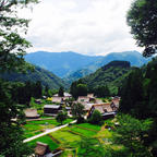 茅葺き屋根のお家こそめずらしいですが、周りが田んぼに囲まれてて🌾そこかしこに野の花が咲いていて🌼というどこの田舎にも共通の風景が広がっていて、だからこそ懐かしい感じがするのかなぁと思う場所でした。
#相倉合掌造り集落 #五箇山