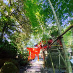 来宮神社