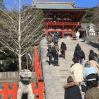 鶴岡八幡宮