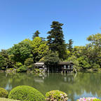 金沢には何度も来ているけれど、初めて訪れた兼六園。どの樹木も大きい！
新緑の季節。良いですね。
愛知県民としては、ラジオ塔が興味深かったです。