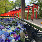 住吉神社

#北海道#小樽