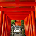 山口県
宇部市
琴崎稲荷神社
琴崎八幡宮の境内の中にあります。