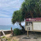 奄美大島に来たので
カケロマ島まで足を延ばしました、男はつらいよ
寅さんの撮影現場迄行き
泳いできました。