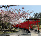 髙山稲荷神社　青森県

鮮やかな千本鳥居と美しい庭園が楽しめます。