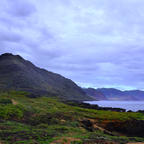 [2018/08]
Hawai-O’ahu島,Kaena Point State Park.
オアフ島の最北東部の岬。
私が持っていた3つの観光書には紹介もされていないスポットでした。
駐車場から約1時間歩いてやっと辿り着けます。

道は酷く荒れていて歩くのは大変だったし、途中で釣りをしている退役軍人の方に長時間声をかけられたりしました。
その一方で、真近でアザラシをみれたり、何より今までオアフ島で見たどこよりも広大な景色を見ることができました。

往復2時間ぐらいの道でも大丈夫という方には周りに誰もいなくてオススメです。