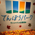 2024.10.5
あいにくの天気で眺望はほとんど見えず。紅葉のフォトスポットが可愛かった🍁