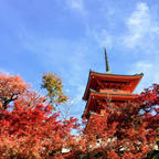 京都
清水寺

紅葉の頃に

西国三十三所観音巡礼
十六番札所