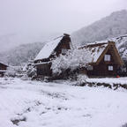 岐阜県：白川郷

辺り一面銀世界❄️❄️❄️☃️