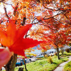 綺麗な景色が見れました🍁
紅葉
中禅寺湖 
日帰り旅行