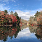 紅葉もそろそろ終わりです