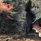 秋芳洞🍁
何回行っても神秘的な場所。何万年前からずっとある鍾乳洞だから、人工的には絶対できない場所。。