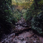 高尾山の登り道