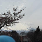 御殿場プレミアムアウトレット
桜はもう一息でございます桜🌸