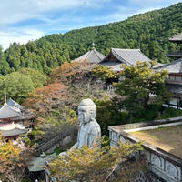 壷阪寺

天竺渡来の石仏がある奈良のお寺。
なかなかの見応えある景観も良かったです。
最後の写真はパワーストーンがあり、
靴脱いで乗らせてもらいましたよ。
2024.10.19