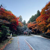 神田稲荷大神

日向大神宮のそばにあるお稲荷さん
ここの前が特に紅葉綺麗でした
2024.12.７