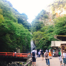 箕面の滝
大阪府