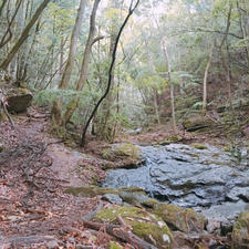 [兵庫県]
鹿ヶ壺