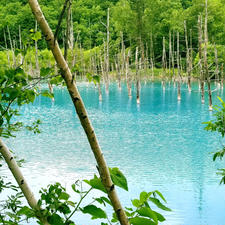 北海道自然旅行
青い池2