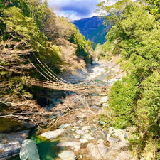 徳島県の祖谷のかずら橋。
遠くから見ると絶景。
実際歩くと結構怖い🚶‍♂️