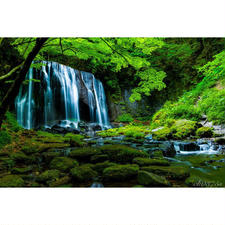 福島県の滝 夏バージョン