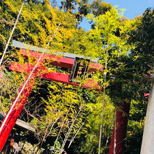 静岡県熱海市  来宮神社

一周すると寿命が1年延びると言われていて、パワースポットでもある樹齢2000年の大楠に圧倒されました