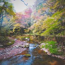 広島 帝釈峡