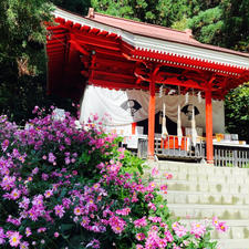 秋田県　田沢湖の近くに鎮座する御座石神社。若さと美しさを保つために龍になったタツ子姫を祀っています。