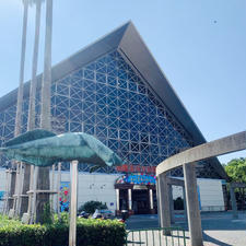 須磨海浜水族園
兵庫県須磨
2019.10.7