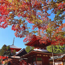 高野山