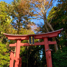 弥彦神社