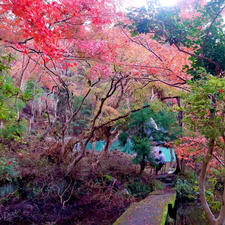 瑠璃光院