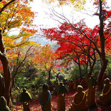 呉羽山五百羅漢
紅葉見つめる羅漢様