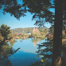 昼も夜もいい！
#石川県#兼六園