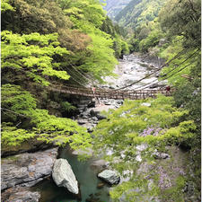 四国の旅。かずら橋。
去年の今頃は四国一周に出かけてたのに(>_<)また行きたい〜☆