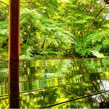 瑠璃光院

1階の廊下😍