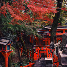 京都/伏見稲荷