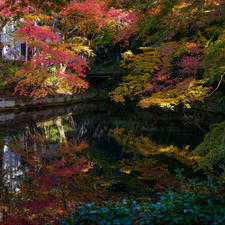 水面に映る紅葉もまた綺麗。
3年ほど前の写真なので京都のどこで撮ったかは忘れたけど…

#京都府 #紅葉