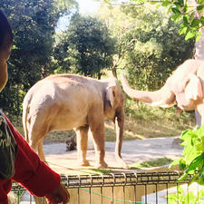 横浜ズーラシア動物園
2020/11/21
#神奈川