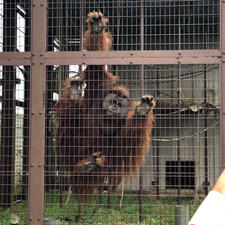 市川市動植物園