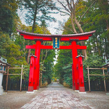 弥彦神社

#弥彦神社 #弥彦村 #新潟県