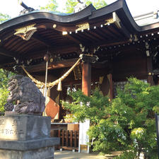 行田八幡神社:埼玉県行田市🇯🇵
先日、テレビでも紹介され、大変ご利益のあると言われている行田八幡神社⛩