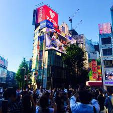 新宿駅東口に行きました

ネコがいました