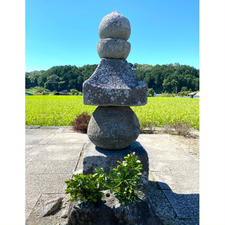 蘇我入鹿首塚

飛鳥寺の境内を西に少し歩いたところに立つ五輪塔。
大化の改新のとき、飛鳥板蓋宮で中大兄皇子らに暗殺された時の権力者・蘇我入鹿の首がそこまで飛んできたとか、襲ってきた首を供養するためにそこに埋めたともいわれる。
五輪塔自体は鎌倉時代または南北朝時代の建立と考えられている。
高さ149cmの花崗岩製で、笠の形の火輪の部分が大きく、軒に厚みがあるのが特徴である。

#サント船長の写真 #歴史的人物の墓  #墓地