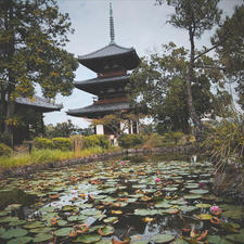 田畑に囲まれた緑豊かなお寺です