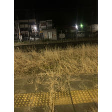 上松駅
初めて乗ったワイドビューしなの。
初めて名古屋から長野へ向かう。
初めて上松は長野県なんだと知る。
初めて体験することは、とても楽しい！