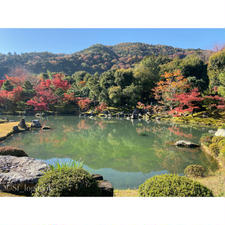 紅葉の世界遺産、天龍寺